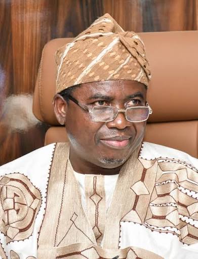INEC to launch self-service online portal July 8