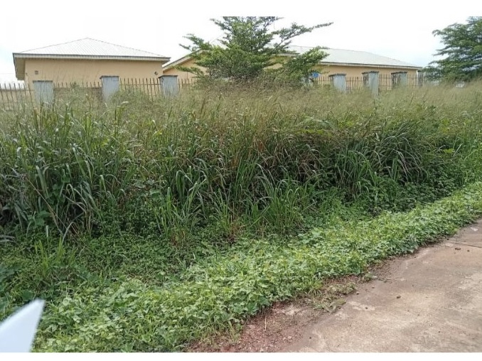 Snakes, Reptiles Thrive in Overgrown Bushes at Cross River’s Teachers Training Institute