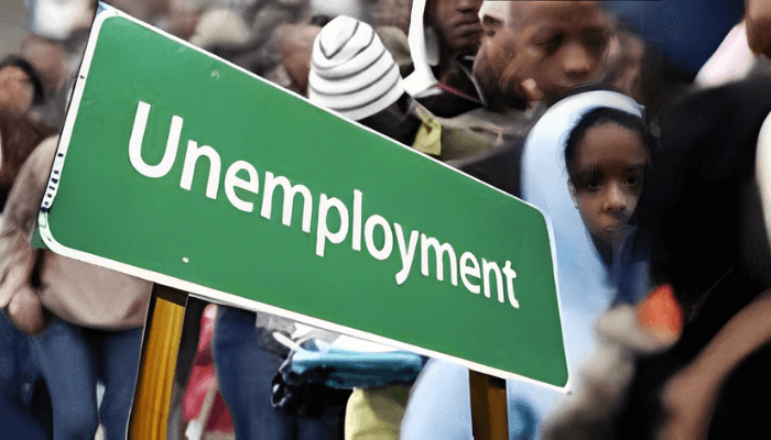 Apprenticeship: A Practical Solution to Nigeria's Youth Employment Crisis