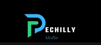 Pechilly investigative media berths in Anambra 